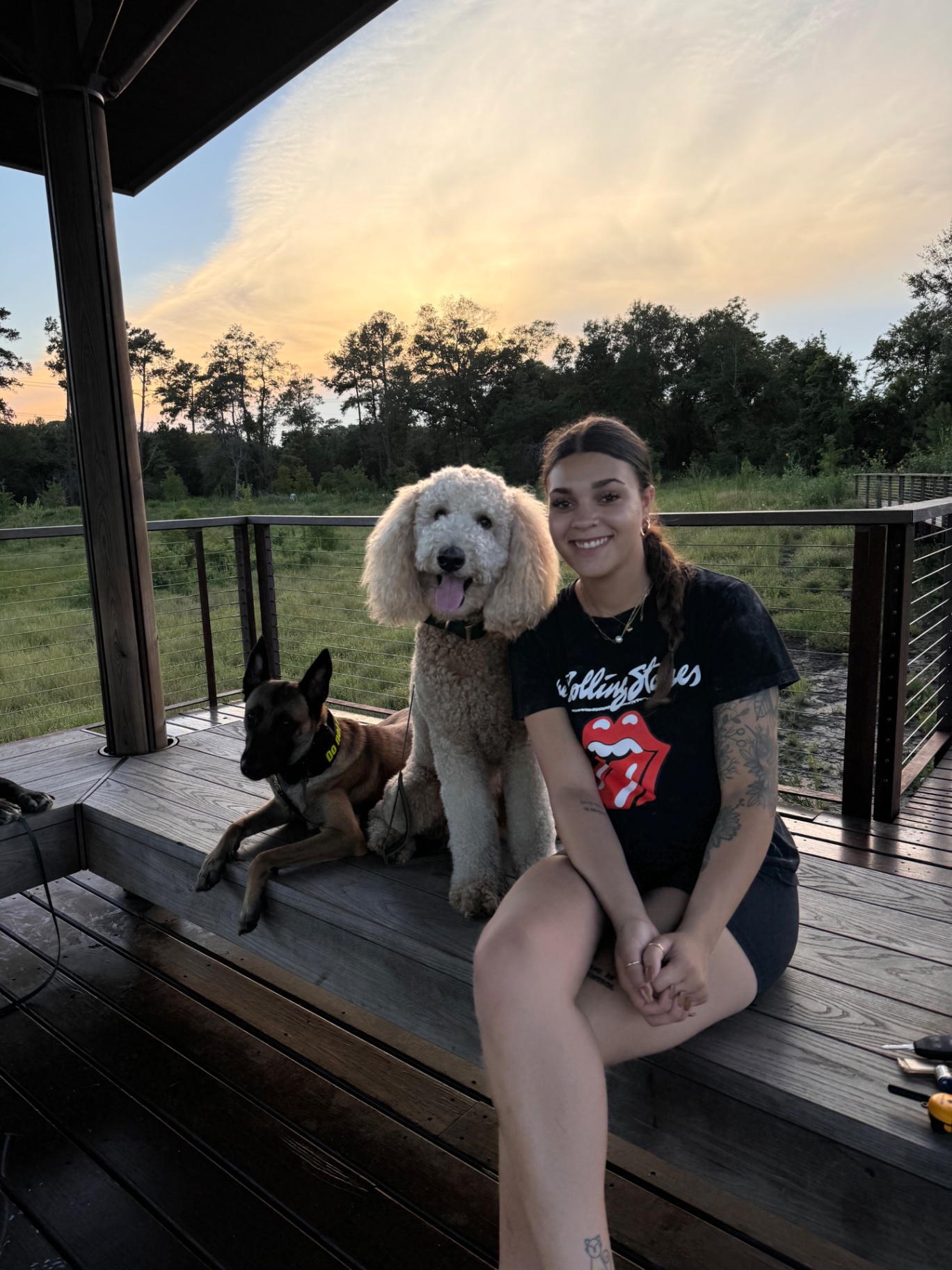 Malinois and standard poodle holding a settled down-stay at sunset