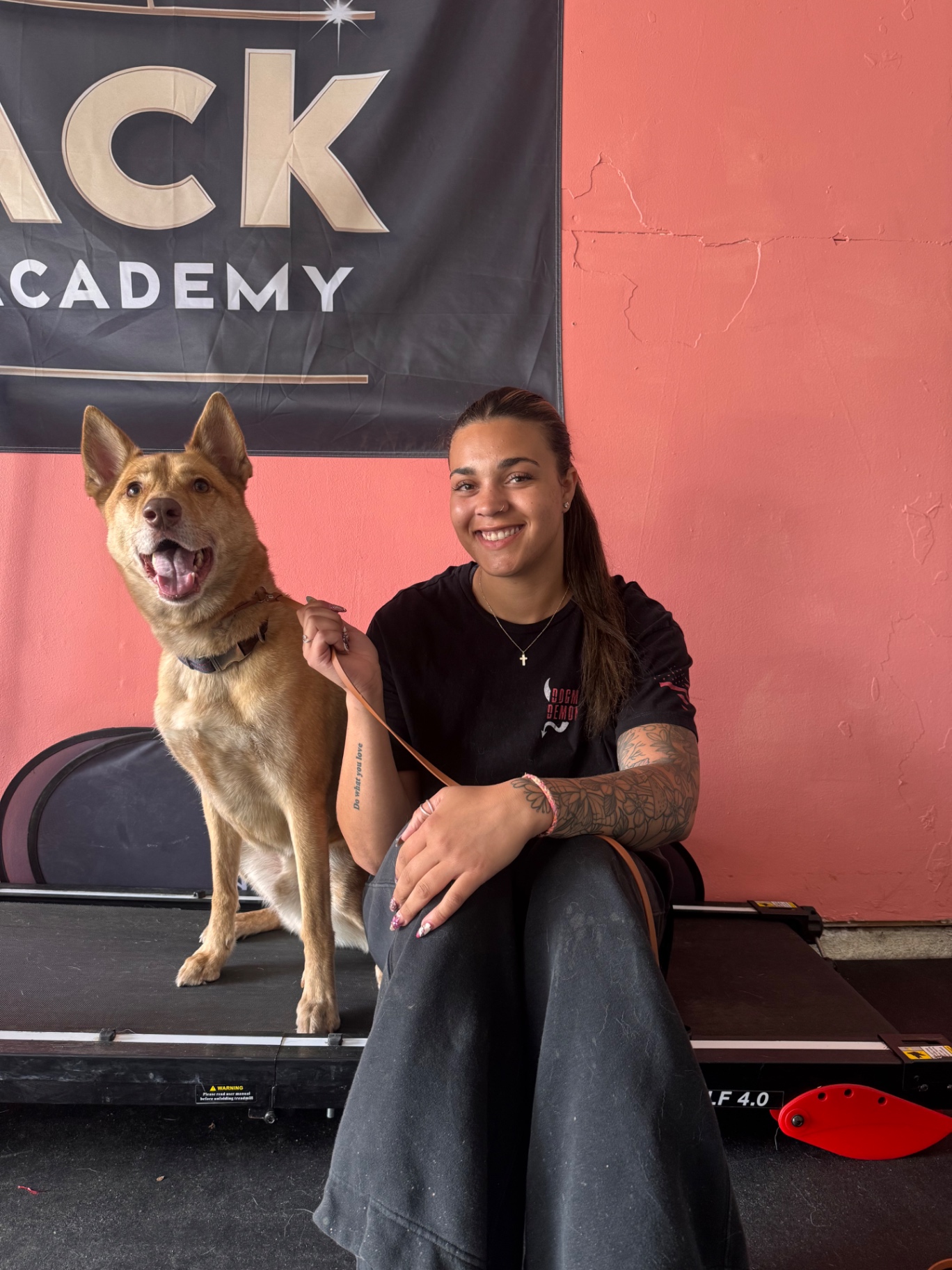 Trainer with a calm shepherd mix in front of the CatJack K9 Academy banner